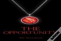 The Opportunity