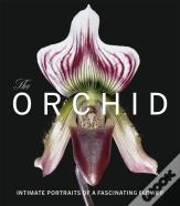The Orchid