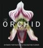 The Orchid - Preview