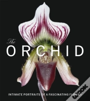 Capa do artigo The Orchid