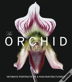 Capa do artigo The Orchid