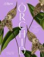 The Orchid - Preview