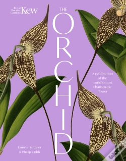 Capa do artigo The Orchid