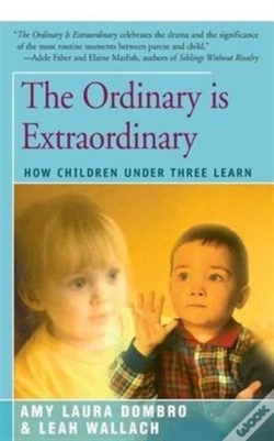 Capa do artigo The Ordinary Is Extraordinary