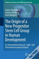 The Origin Of A New Progenitor Stem Cell Group In Human Development