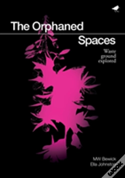 Capa do artigo The Orphaned Spaces