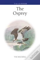 The Osprey