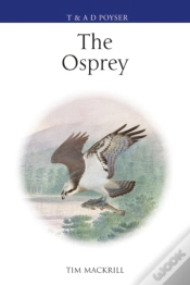 Capa do artigo The Osprey