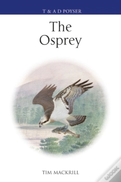 Capa do artigo The Osprey