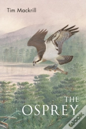 The Osprey