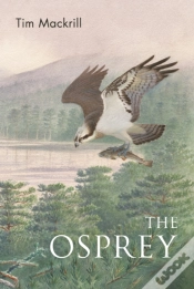 Capa do artigo The Osprey