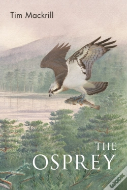 Capa do artigo The Osprey