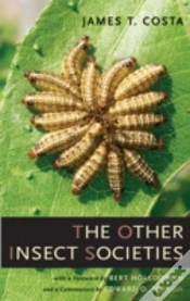Capa do artigo The Other Insect Societies