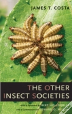 Capa do artigo The Other Insect Societies