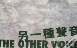 Capa do artigo The Other Voice