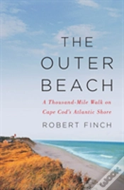 Capa do artigo The Outer Beach