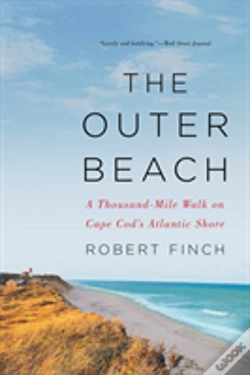 Capa do artigo The Outer Beach
