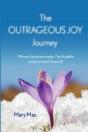 The Outrageous Joy Journey - Preview