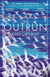 Capa do artigo The Outrun