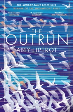 Capa do artigo The Outrun