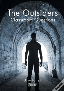 Capa do artigo The Outsiders Classroom Questions