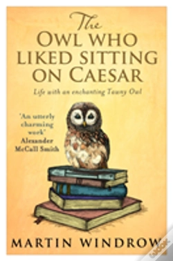 Capa do artigo The Owl Who Liked Sitting On Caesar