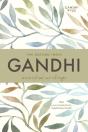 The Oxford India Gandhi - Preview