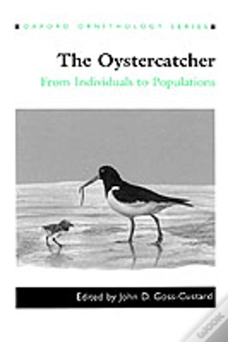 Capa do artigo The Oystercatcher