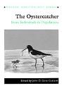 The Oystercatcher - Preview