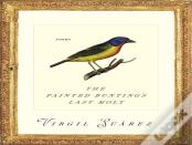 The Painted Bunting'S Last Molt