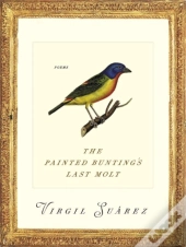 The Painted Bunting'S Last Molt