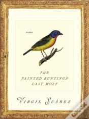 Capa do artigo The Painted Bunting