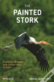 Capa do artigo The Painted Stork