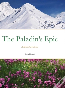 Capa do artigo The Paladin'S Epic