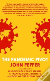 Capa do artigo The Pandemic Pivot