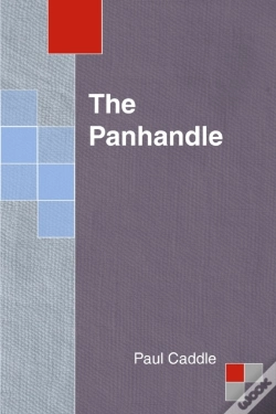 Capa do artigo The Panhandle