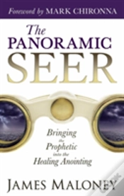 Capa do artigo The Panoramic Seer