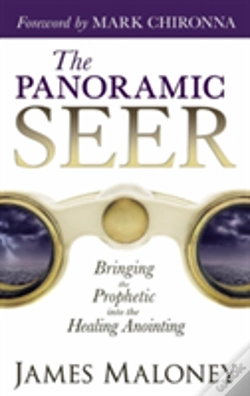 Capa do artigo The Panoramic Seer