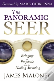 Capa do artigo The Panoramic Seer