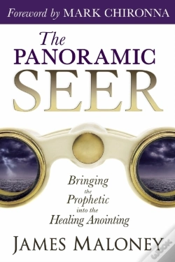 Capa do artigo The Panoramic Seer