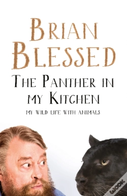 Capa do artigo The Panther In My Kitchen