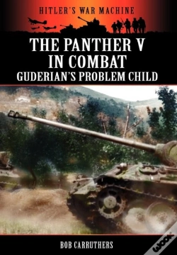 Capa do artigo The Panther V In Combat - Guderian'S Problem Child