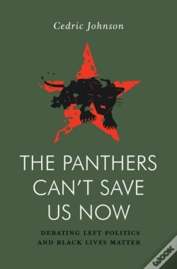 Capa do artigo The Panthers Can'T Save Us Now