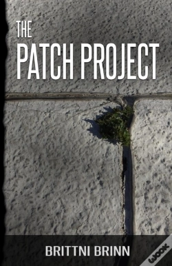 Capa do artigo The Patch Project