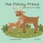 The Patchy Prince - Preview