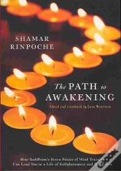Capa do artigo The Path To Awakening