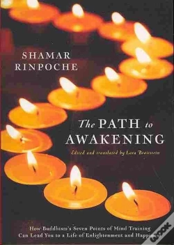 Capa do artigo The Path To Awakening