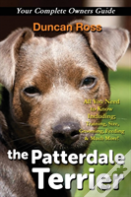 The Patterdale Terrier