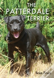 Capa do artigo The Patterdale Terrier