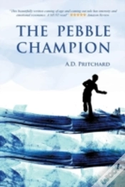 Capa do artigo The Pebble Champion